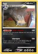 fleur