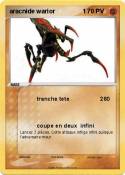 aracnide warior