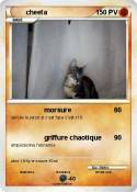 cheeta