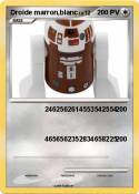 Droide marron,b