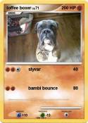 toffee boxer