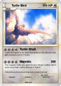 Turtle Bird