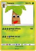 Palmera