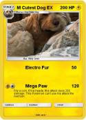 M Cutest Dog