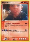 mega wild