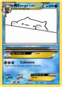 Bongo cat