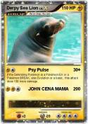 Derpy Sea Lion