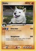 Husky