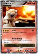 boom cat