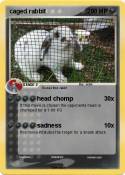 caged rabbit