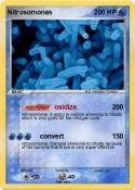 Nitrosomonas