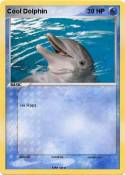 Cool Dolphin