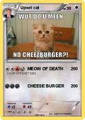 Upset cat