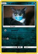 cat with a mask