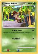 Explorer Rabbid