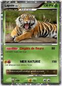 Lapoie
