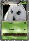 owl