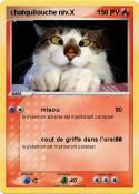 chatquilouche