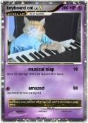 keyboard cat