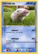 cute baby pig