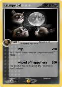 grumpy cat