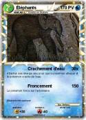 Éléphants