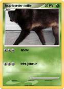 loup-border col