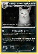 Ceiling cat