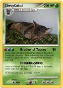 ChevyCat