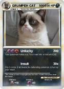 GRUMPEH CAT