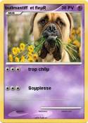 bullmastiff et