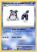 huskydoodle est