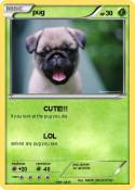 pug