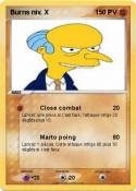 Burns niv. X
