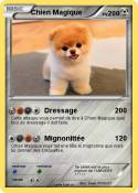 Chien Magique
