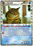 chat p'iti