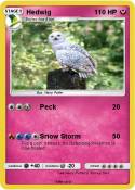 Hedwig