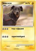 beauceron