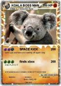 KOALA BOSS MAN
