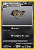 Ceiling Cat