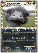 mega autruche