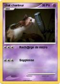 chat chanteur