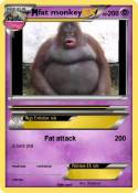 fat monkey