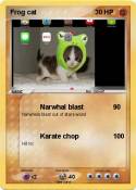Frog cat