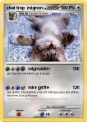 chat trop migno