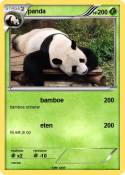 panda