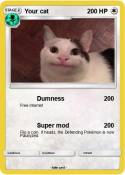 Your cat