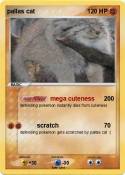 pallas cat