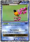 The Bird of