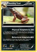 Bleeding Toad